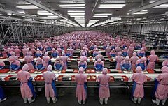 Производство iPhone и другой техники Apple на заводе Foxconn частично возобновили в системе «закрытого цикла управления»