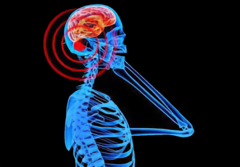 Учёные опровергли популярный миф о вреде мобильной связи для мозга