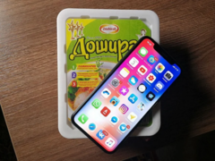 Еда и мебель вместо флагманов: Redmi 9A и iPhone 11 оставили далеко позади iPhone 13 по популярности в России