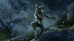 Ключи для The Elder Scrolls Online и других игр Bethesda появились на «Фогейме»