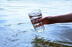 Почему нельзя пить морскую воду