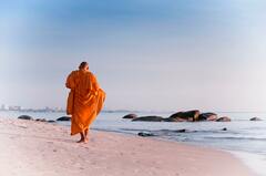 Исследование буддийских монахов показало, в чём эволюционное преимущество безбрачия