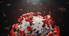 Новый штамм коронавируса «Цербер» может стать причиной третьей волны заболеваемости в Европе