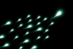 Учёные обнаружили, что даже у сперматозоидов есть «индивидуальность»