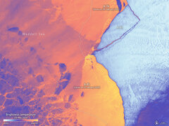 ESA опубликовала путь нового айсберга площадью 380 квадратных км