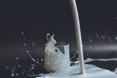 Российские учёные ускорили процесс лабораторных исследований молока