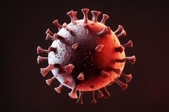 Врач напомнила о том, что коронавирус всё ещё уносит жизни