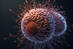 Найден еще один способ борьбы с раком печени: стволовые клетки