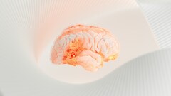 Российские нейрофизиологи обнаружили «внутренний голос» в мозге