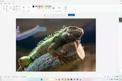 Microsoft добавила в Paint ИИ-генерацию предметов на фото