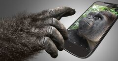 ЕС обвинил производителя стекла Gorilla Glass в монополии. У компании есть план