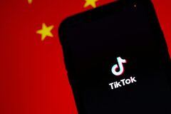 Стало известно о переговорах главы TikTok и Илоном Маском