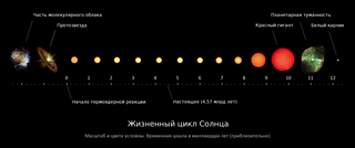 Белый карлик или нейтронная звезда: что остаётся после умершей звезды