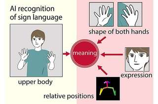 Перевод языка жестов стал лучше благодаря ИИ