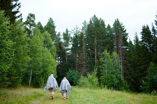 Природная катастрофа и не только: что случится, если полностью исчезнут комары