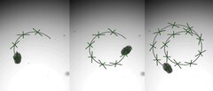 Созданы крошечные живые роботы из лёгочных клеток