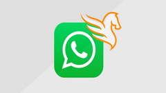 Суд США запретил создателям Pegasus взламывать WhatsApp — компании грозит закрытие