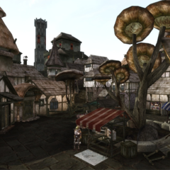 Авторы мода Morrowind Tamriel Rebuilt выпустили крупнейшее обновление за 20 лет: в игру добавили 200 квестов и сотни новых локаций
