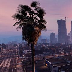 Ряд технических особенностей GTA 6 стали известны из резюме разработчика