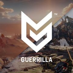 Идем «по сетке»: Guerrilla Games разрабатывает сетевую игру