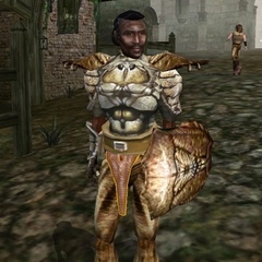 Сценарист Morrowind рассказал, как ему удалось пропихнуть в игру книгу «Похотливая аргонианская дева»