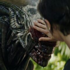 Сериал «Чужой: Земля» был продлен на второй сезон