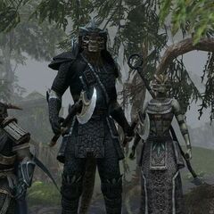 Ветеран индустрии Мэтт Файрор объяснил, почему он ушел из ZeniMax Online Studios