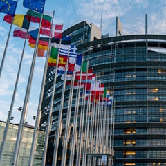 Огранизатора инициативы Stop Killing Games пригласили выступить в Европарламенте