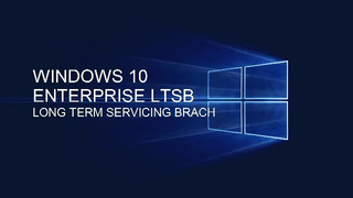 Пользователи не спешат уходить с Windows 10 и HP неожиданно этому рада