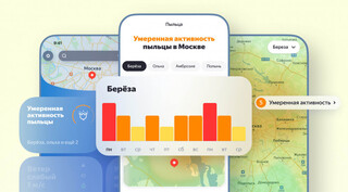 «Яндекс Погода» запустила сервис для аллергиков «Активность пыльцы»