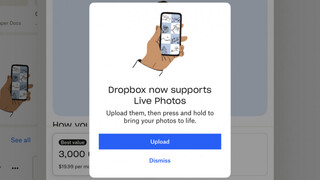 В приложении Dropbox для iOS появилась поддержка Live Photos