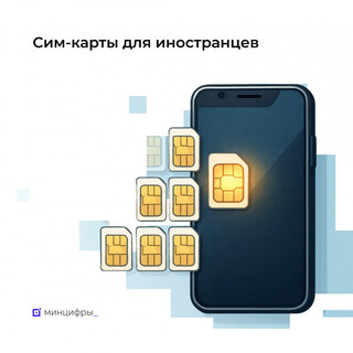 С 1 июля 2025 года вступили правила отключение связи для иностранцев не сдавших биометрию