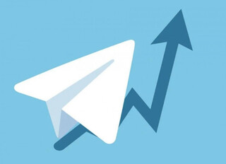 Telegram в России во 2 квартале 2025 года превысил отметку 100 млн пользователей
