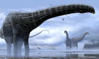 На территории Китая жил динозавр с 15-метровой шеей