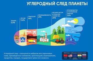Что такое углеродный след: чем он опасен и как реально его сократить