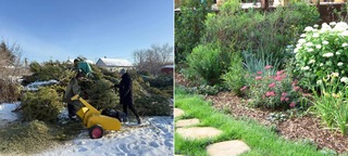 Сдали новогоднюю ёлку на переработку? Вот во что её превращают дальше