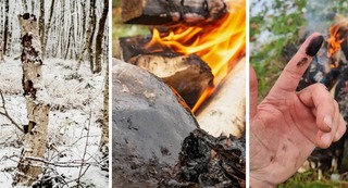 Неандертальцы нашли антибиотик 150 000 лет назад: вот чем они лечили раны