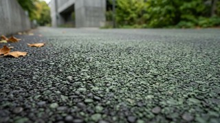 Асфальт из водорослей в 100 раз безопаснее и прочнее. Когда он появится?