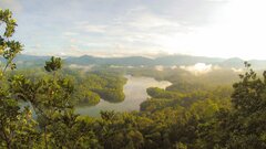 Как вырубка джунглей увеличивает смертность от тепловых ударов: ответ ученых