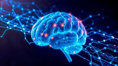 Ученые впервые наблюдали в реальном времени самоочищение мозга во время сна