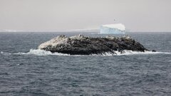 В Антарктике открыли новый остров: сначала его приняли за грязный айсберг