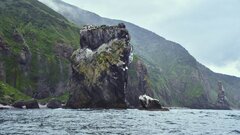 Этнограф из Кунсткамеры раскрыла тайны украшений курильского народа айну