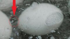 Почему нельзя выливать воду, в которой варились яйца