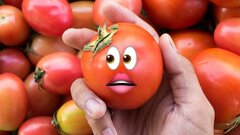 Так «кричат» томаты: редкая аудиозапись голоса растений