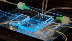 Ученые разработали микроустройство для измерения свойств клеток