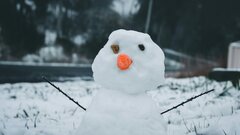 Воспоминания о холоде контролируют метаболизм: как это возможно