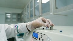 Клеточные «таймеры» лягут в основу будущих лекарств от рака и фиброза