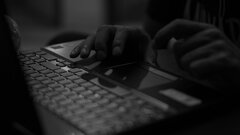 Россиян предупредили о «серых» сайтах