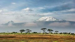 Кости возрастом 1,6 миллиона лет показали, как люди пришли к мясной диете