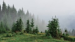 Как быть с природой на дружеской ноге: неожиданный ответ ученых